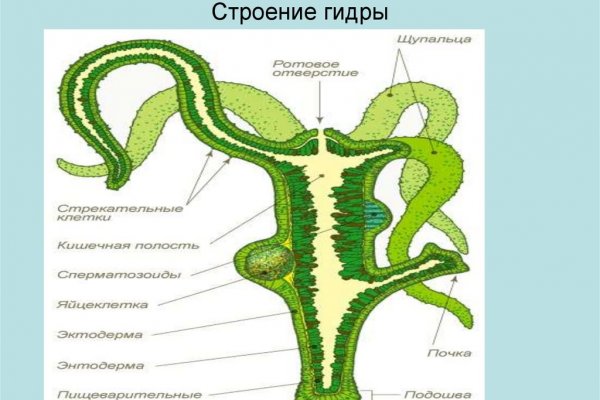 Официальный сайт omg ссылка