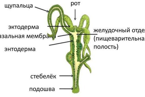 Омг омн