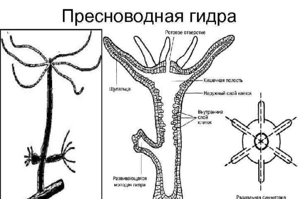 Омг омг оригинальная ссылка